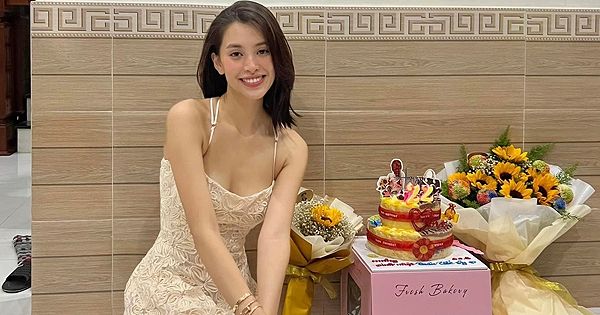 Hoa Hậu Tiểu Vy Tiểu Sử: Hành Trình Tỏa Sáng Của Mỹ Nhân Hội An