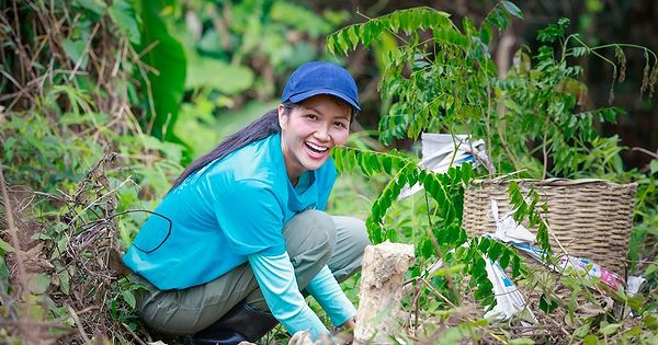 Hoa Hậu Được Yêu Thích Nhất Việt Nam: Vẻ Đẹp Tâm Hồn Và Sứ Mệnh Xã Hội